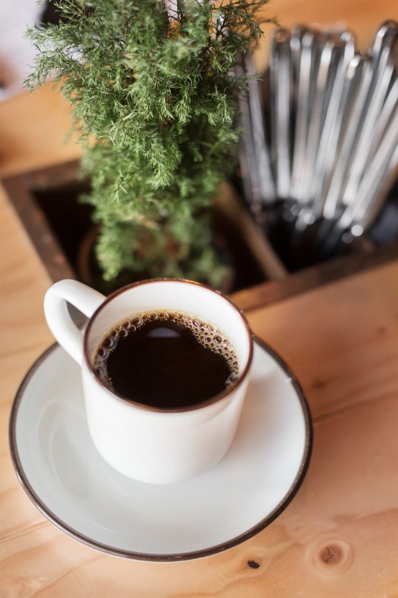 Kaffekopp med gröna växter